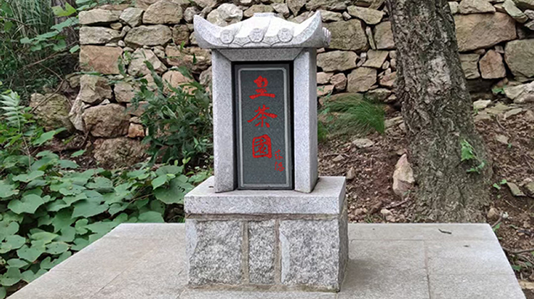 1626443781174699.jpg bbbbb.jpg