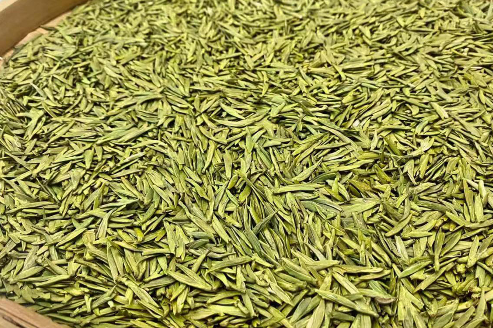 1677766212962177.jpg 10.jpg