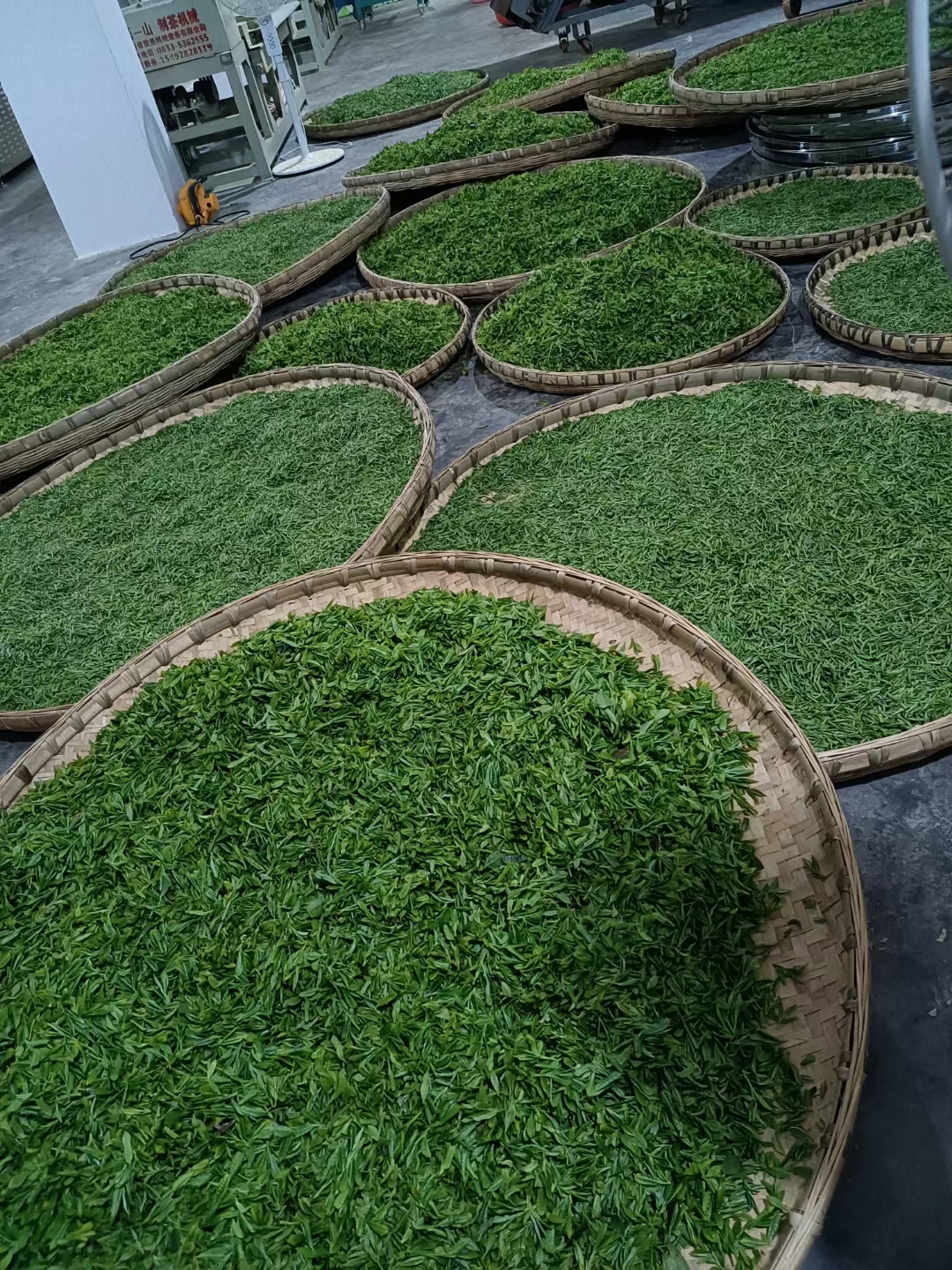 1677766453924698.jpg 18.jpg